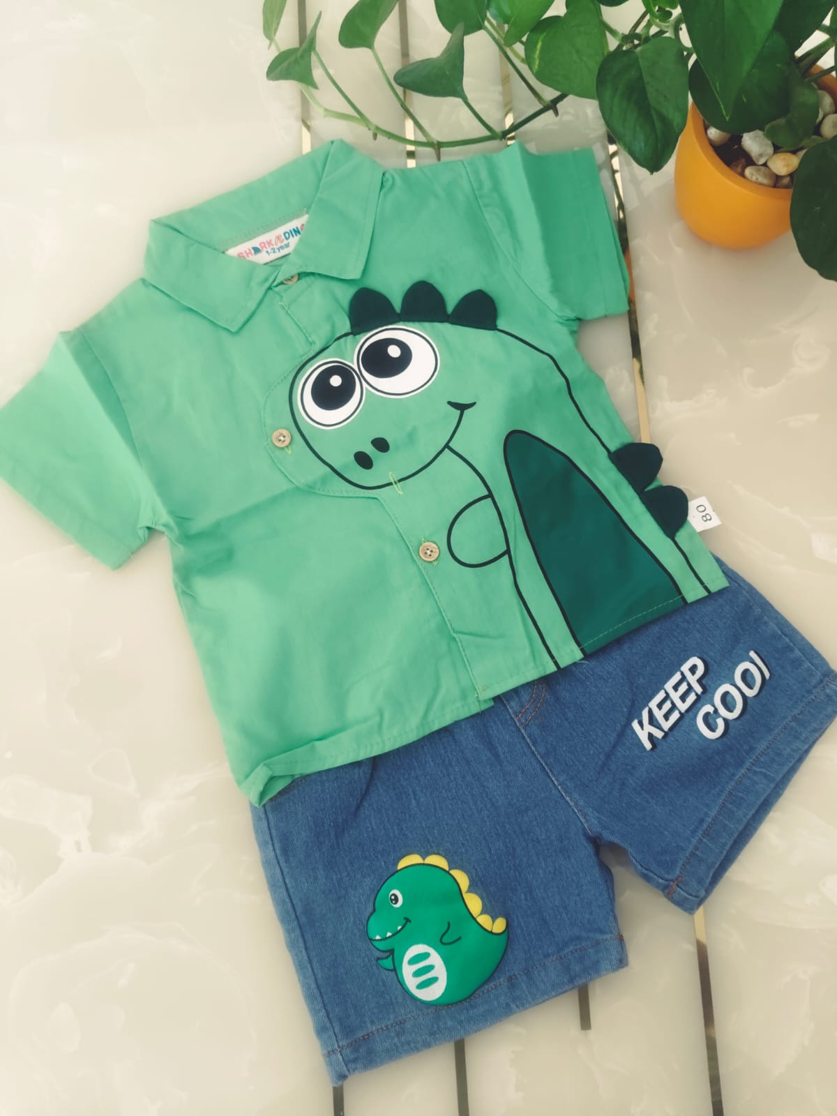 Adorable Boys Dinosaur Outfit Set