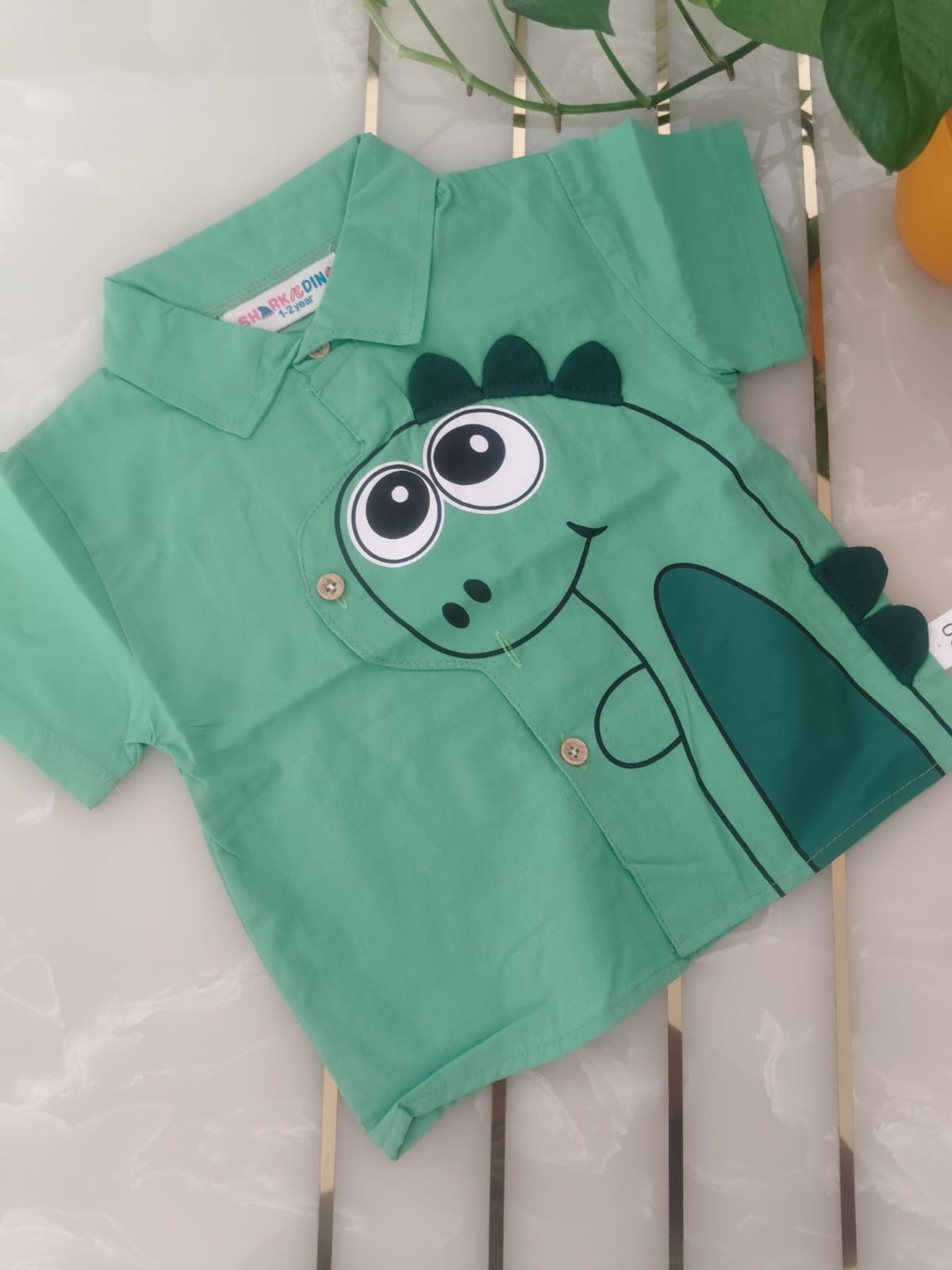 Adorable Boys Dinosaur Outfit Set