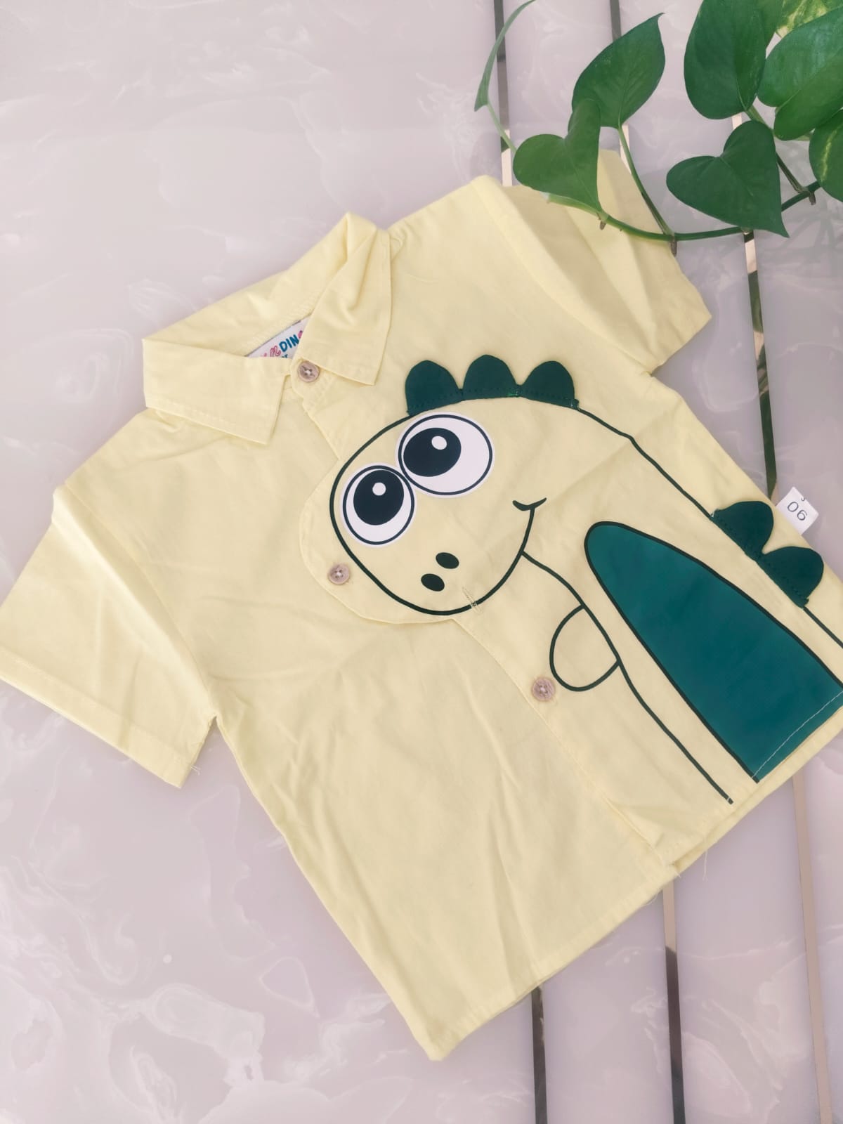 Adorable Boys Dinosaur Outfit Set