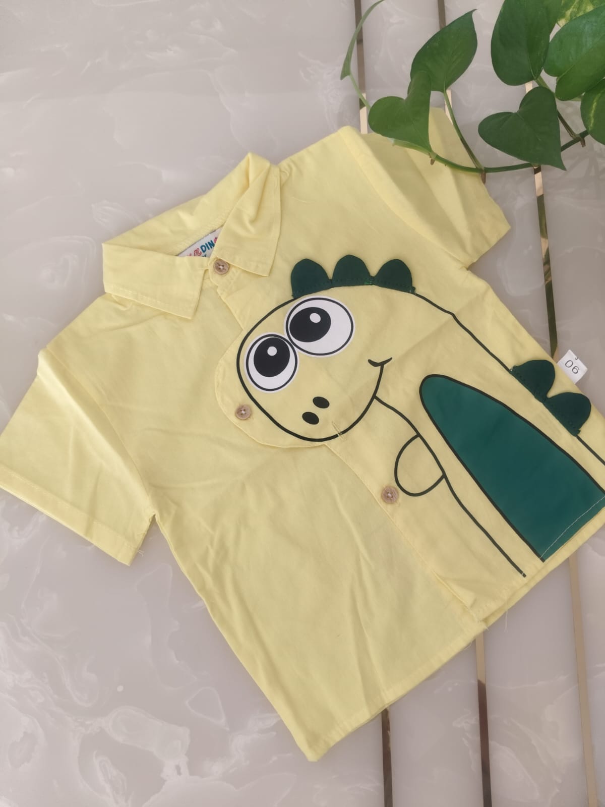 Adorable Boys Dinosaur Outfit Set