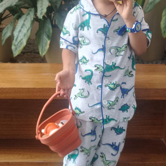 Boys 2-Piece Organic Cotton Sleepwear Set